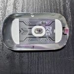 mouse rear