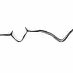 cable6