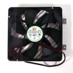 fan