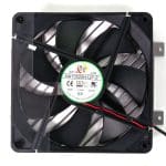 fan
