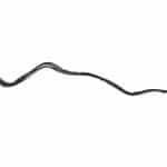 cable2