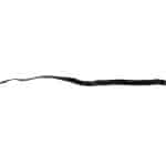 cable2
