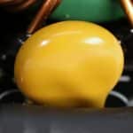 MOV