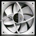 fan_rear