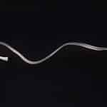cable3
